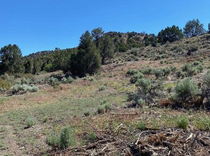 Tbd El Dorado Canyon, Carson City, NV 89701 Photo