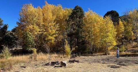 Tbd El Dorado Canyon, Carson City, NV 89701 Photo