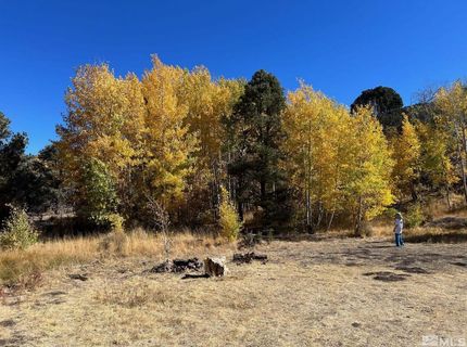 Tbd El Dorado Canyon, Carson City, NV 89701 Photo