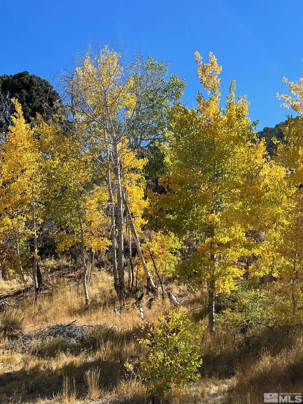 Tbd El Dorado Canyon, Carson City, NV 89701 Photo