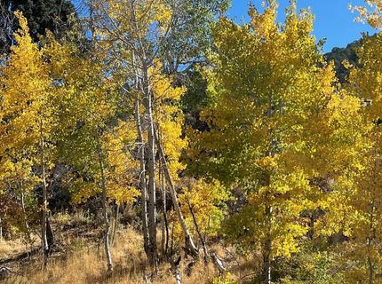 Tbd El Dorado Canyon, Carson City, NV 89701 Photo