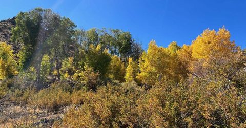 Tbd El Dorado Canyon, Carson City, NV 89701 Photo