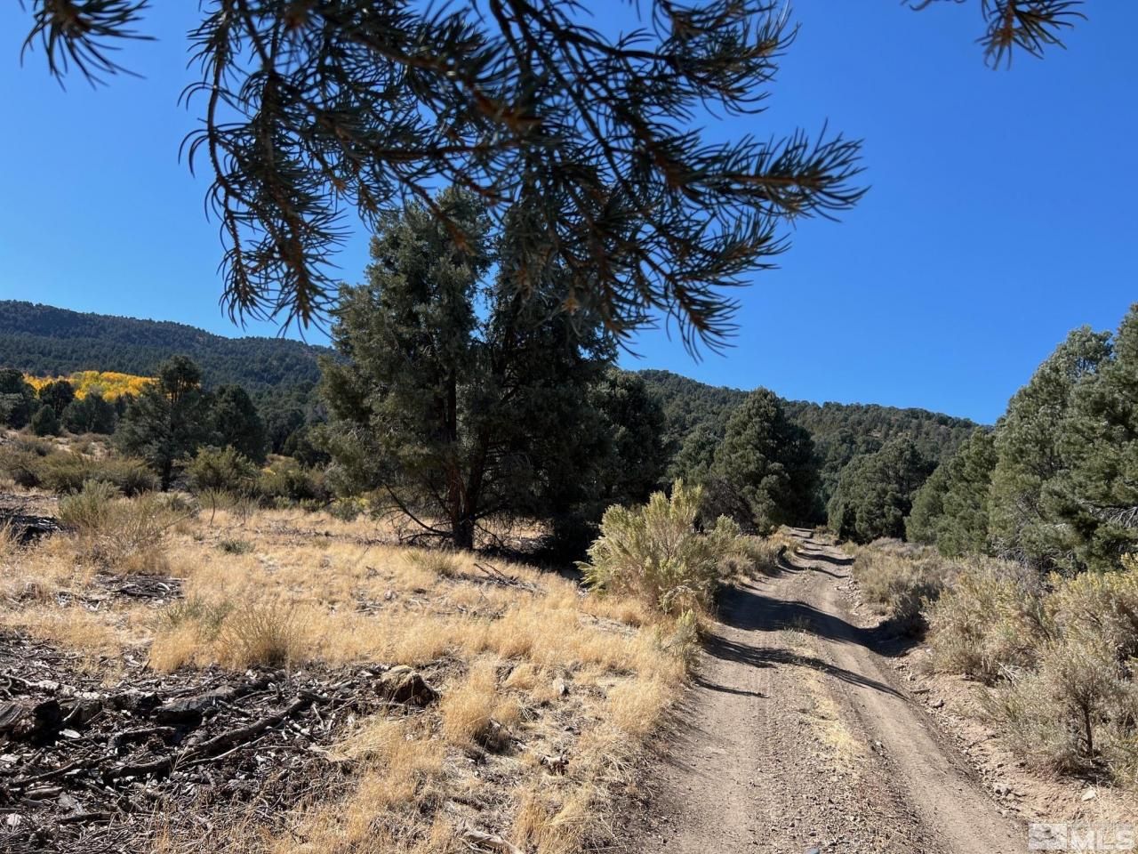 Tbd El Dorado Canyon, Carson City, NV 89701 Photo