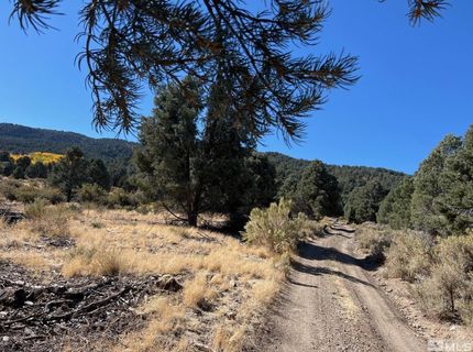 Tbd El Dorado Canyon, Carson City, NV 89701 Photo