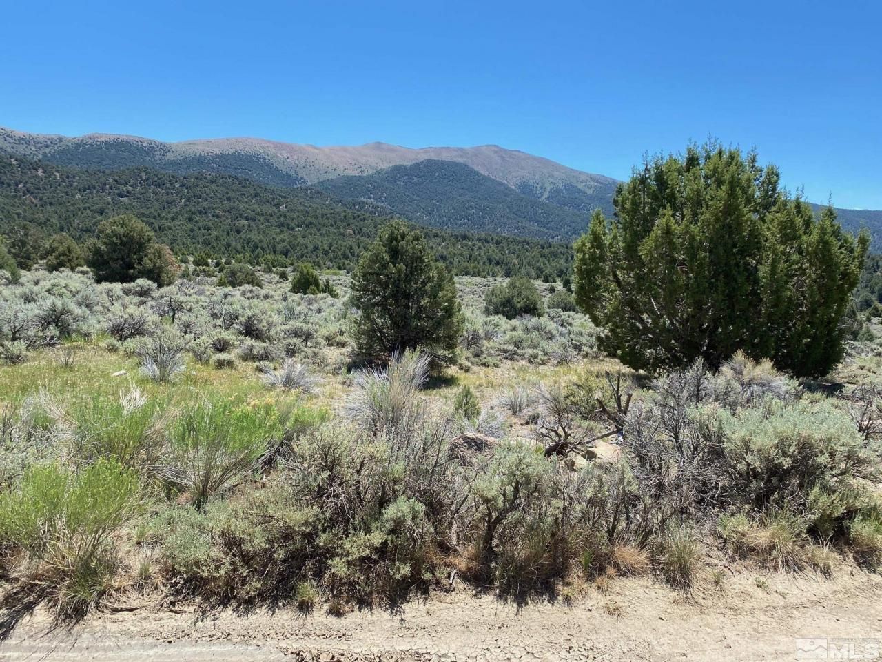 Tbd El Dorado Canyon, Carson City, NV 89701 Photo