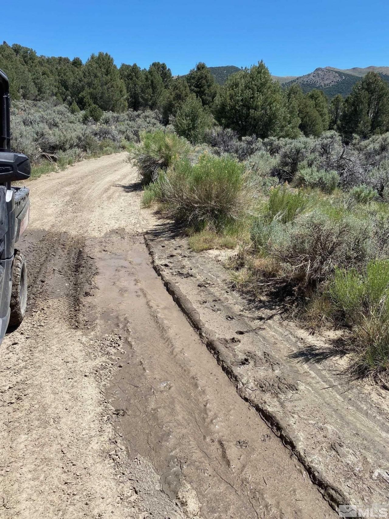 Tbd El Dorado Canyon, Carson City, NV 89701 Photo