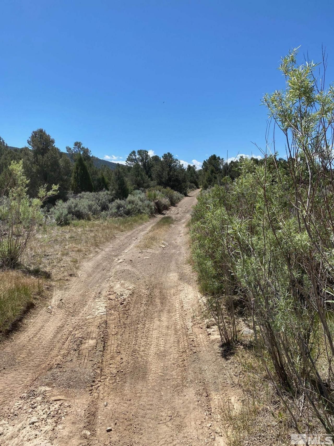 Tbd El Dorado Canyon, Carson City, NV 89701 Photo