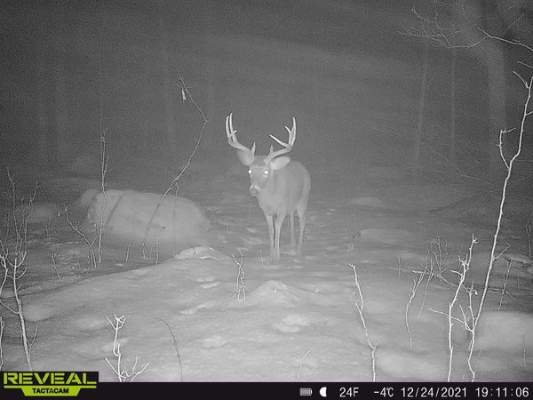 0 BEETLE CREEK ROAD, Tigerton, WI 54486