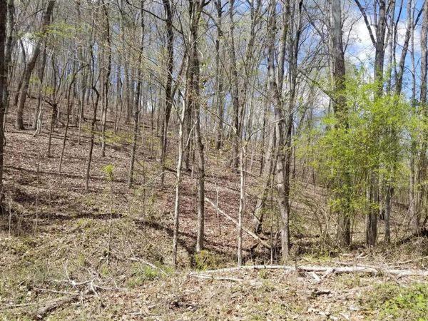 Lot 286 Maple Drive, Spring City, TN 37381