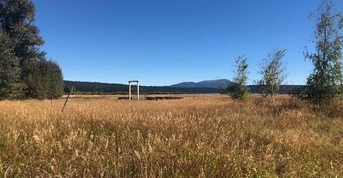 103 Main Street, Chester, CA 96020 Photo