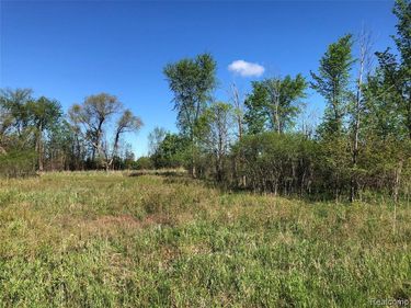 Parcel B GRAHAM Road, Imlay Twp, MI 48444