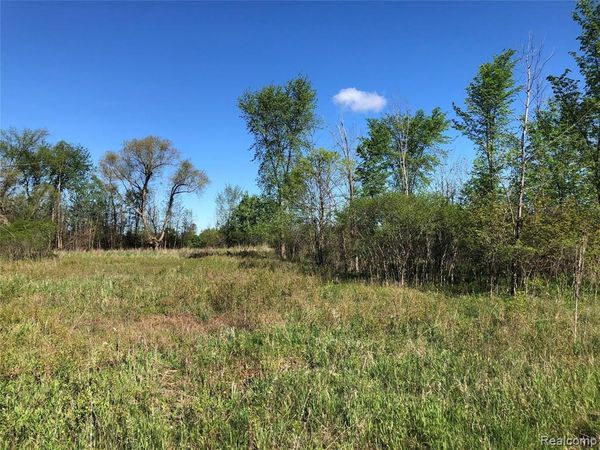 Parcel E GRAHAM Road, Imlay Twp, MI 48444