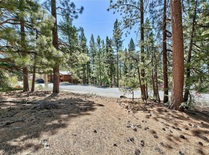 720 Mays Boulevard, Incline Village, NV 89451 Photo