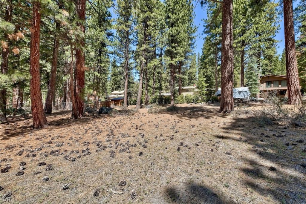 720 Mays Boulevard, Incline Village, NV 89451 Photo