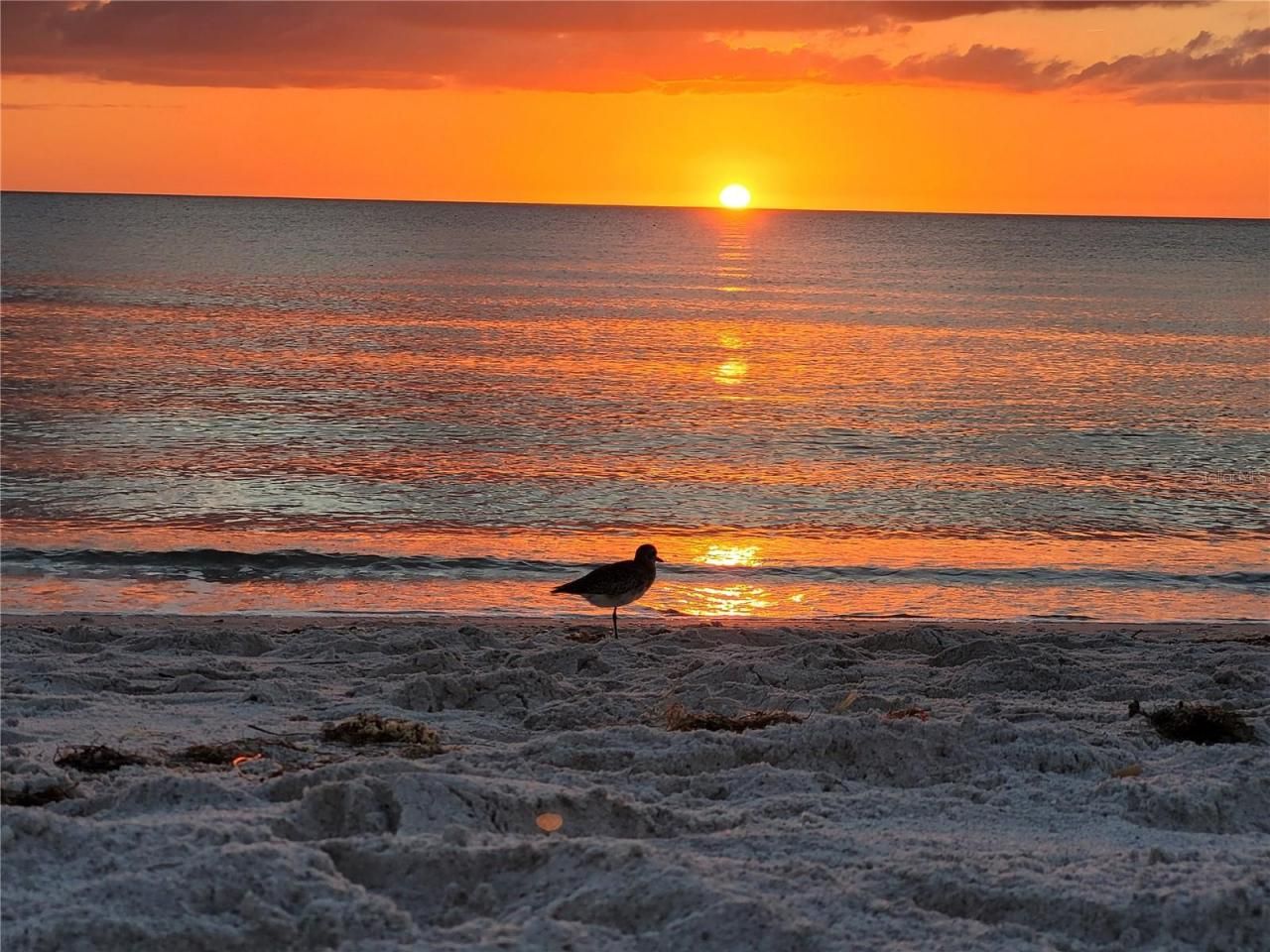 4325 Gulf Of Mexico Drive, Unit 406, Longboat Key, FL 34228 Photo