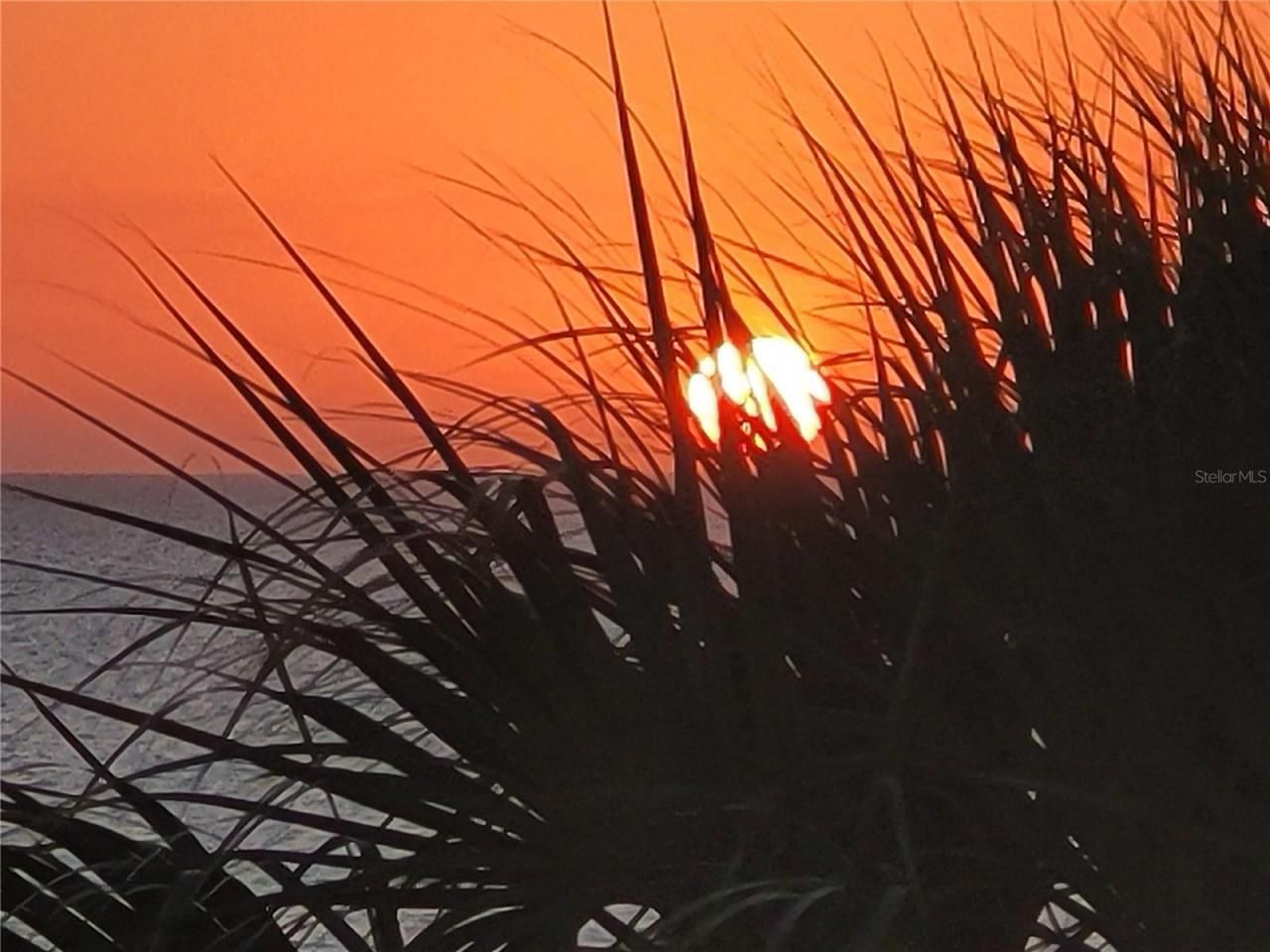 4325 Gulf Of Mexico Drive, Unit 406, Longboat Key, FL 34228 Photo