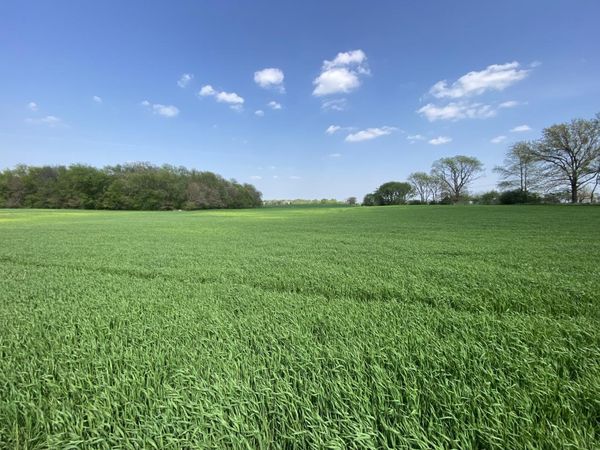 0000 Higgins Road, Hampshire, IL 60140