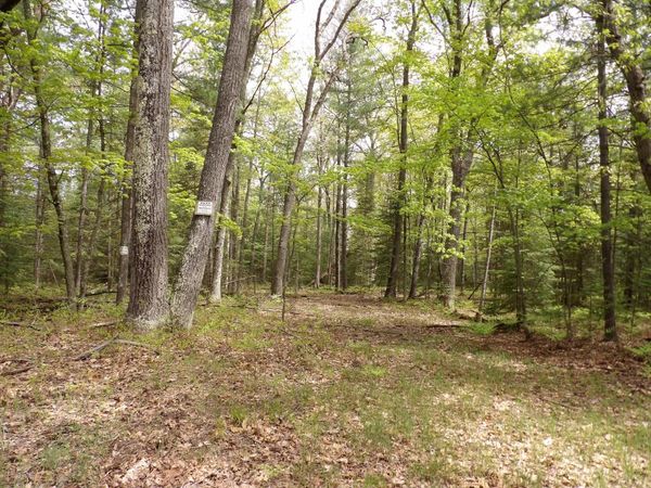 Lot 10 Club Road, St. Helen, MI 48656