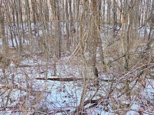 FOXGLOVE ROAD, ALTOONA, PA 16601