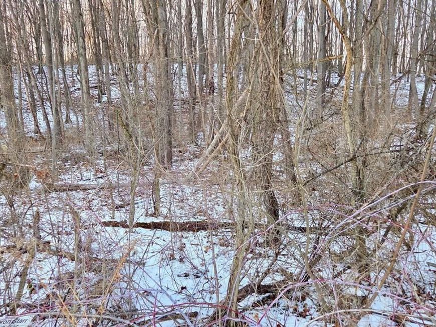 Foxglove Road, Altoona, PA 16601 Main Photo