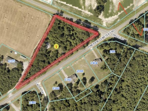 0 Pineview Cemetery Road, Seven Springs, NC 28578