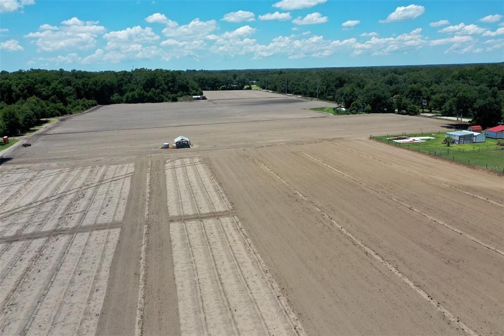 5617 Glen Harwell Road, Plant City, FL 33566 Photo