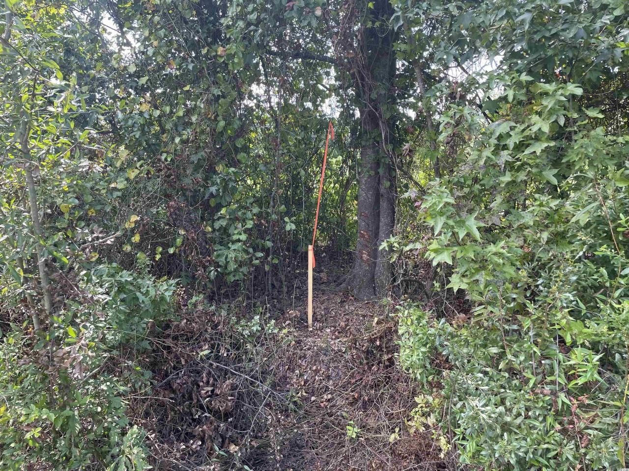 Tbd Suggs St. Photo 11