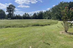 Tbd Suggs St. photo 4