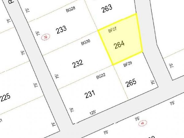 Midnight Walk, Unit 264, Hillsborough, NH 03244