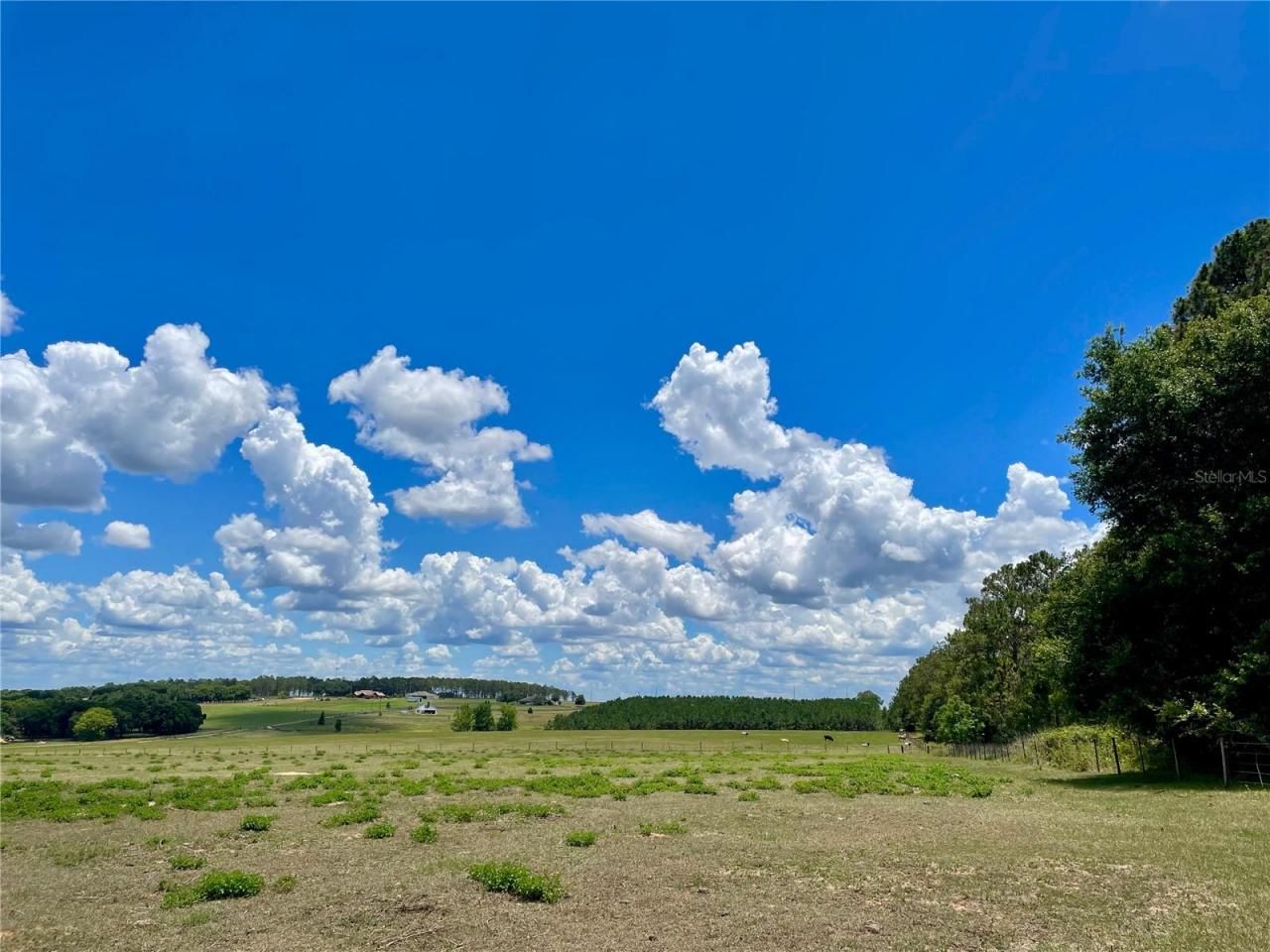 Parrish Grove Road, Dade City, FL 33523 Photo