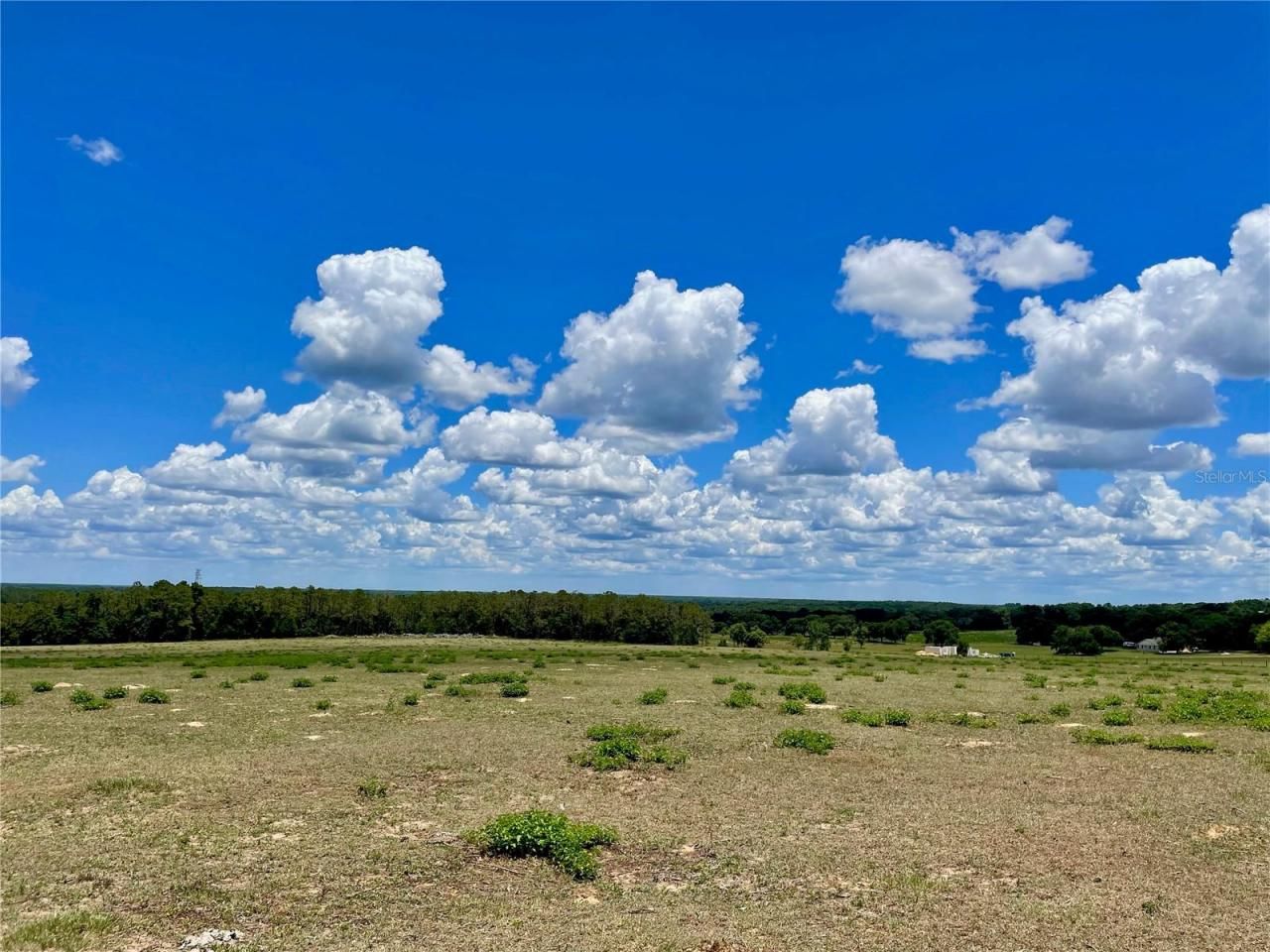 Parrish Grove Road, Dade City, FL 33523 Photo