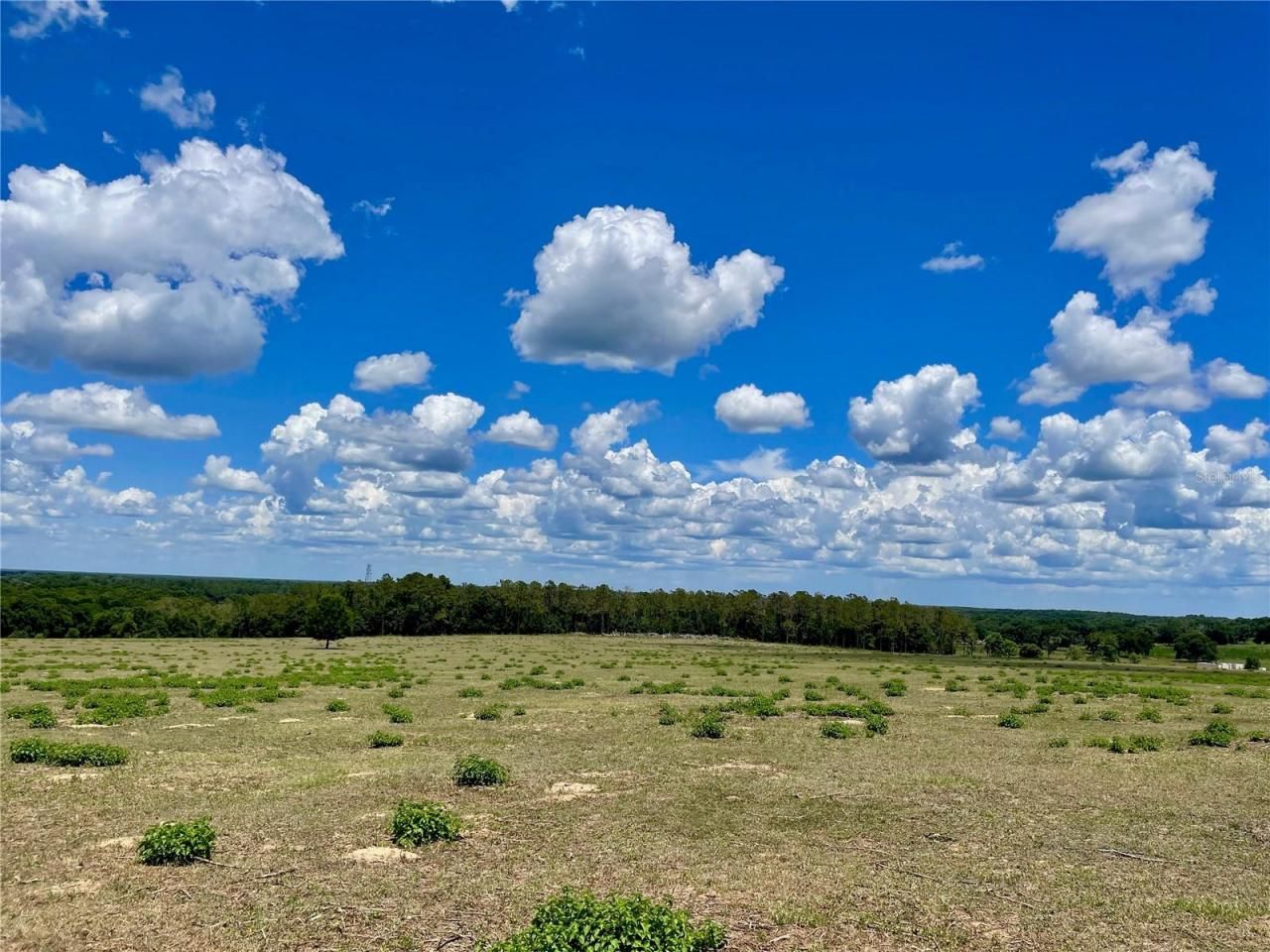 Parrish Grove Road, Dade City, FL 33523 Photo