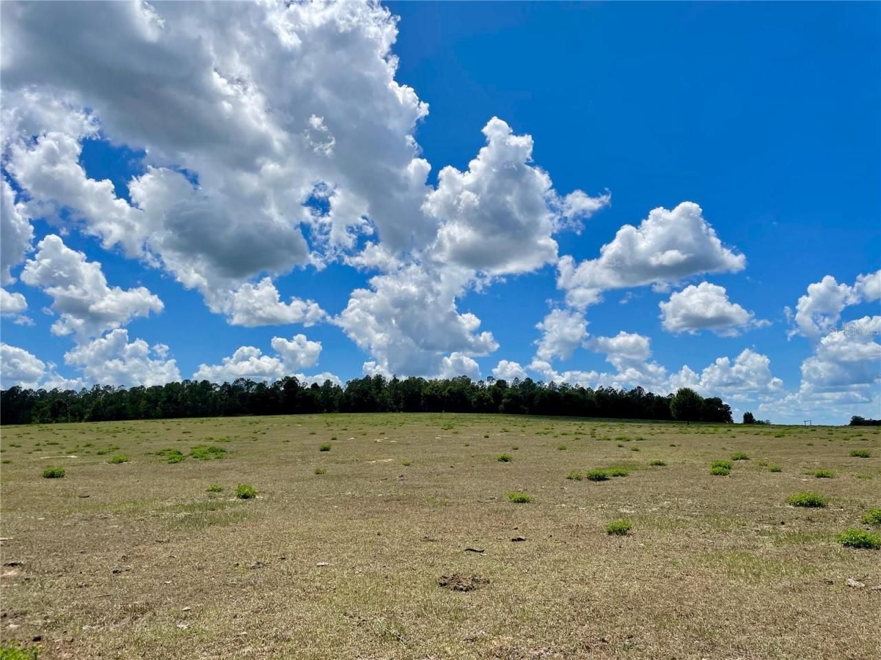 Parrish Grove Road, Dade City, FL 33523 Photo