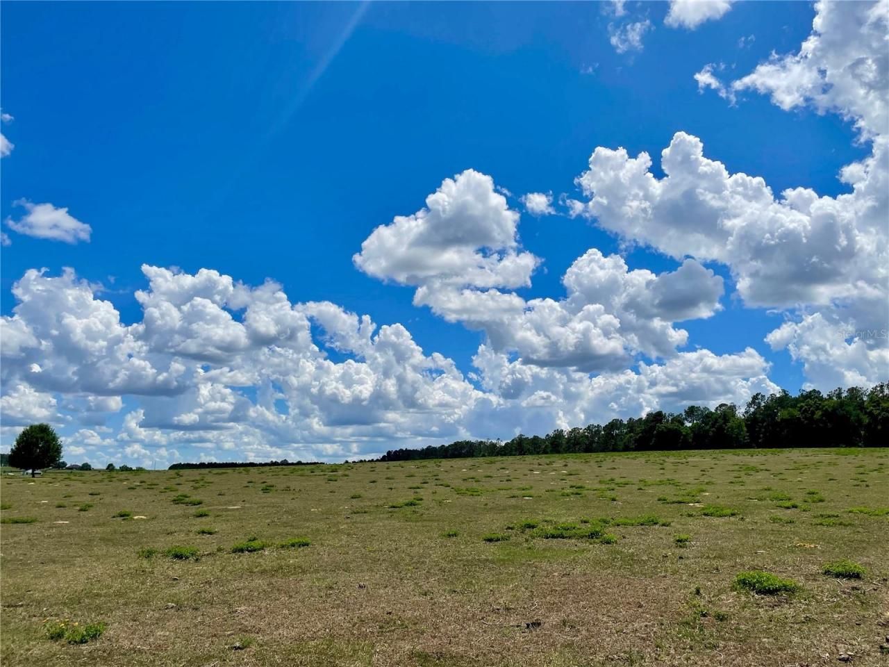 Parrish Grove Road, Dade City, FL 33523 Photo