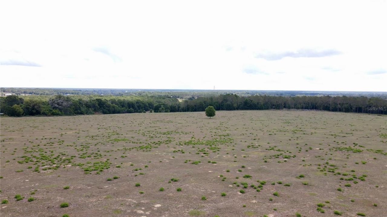 Parrish Grove Road, Dade City, FL 33523 Photo