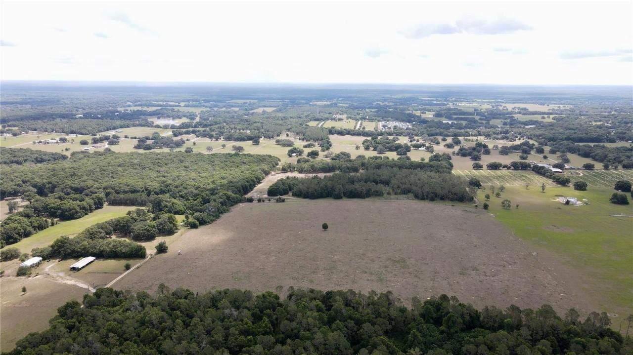 Parrish Grove Road, Dade City, FL 33523 Photo