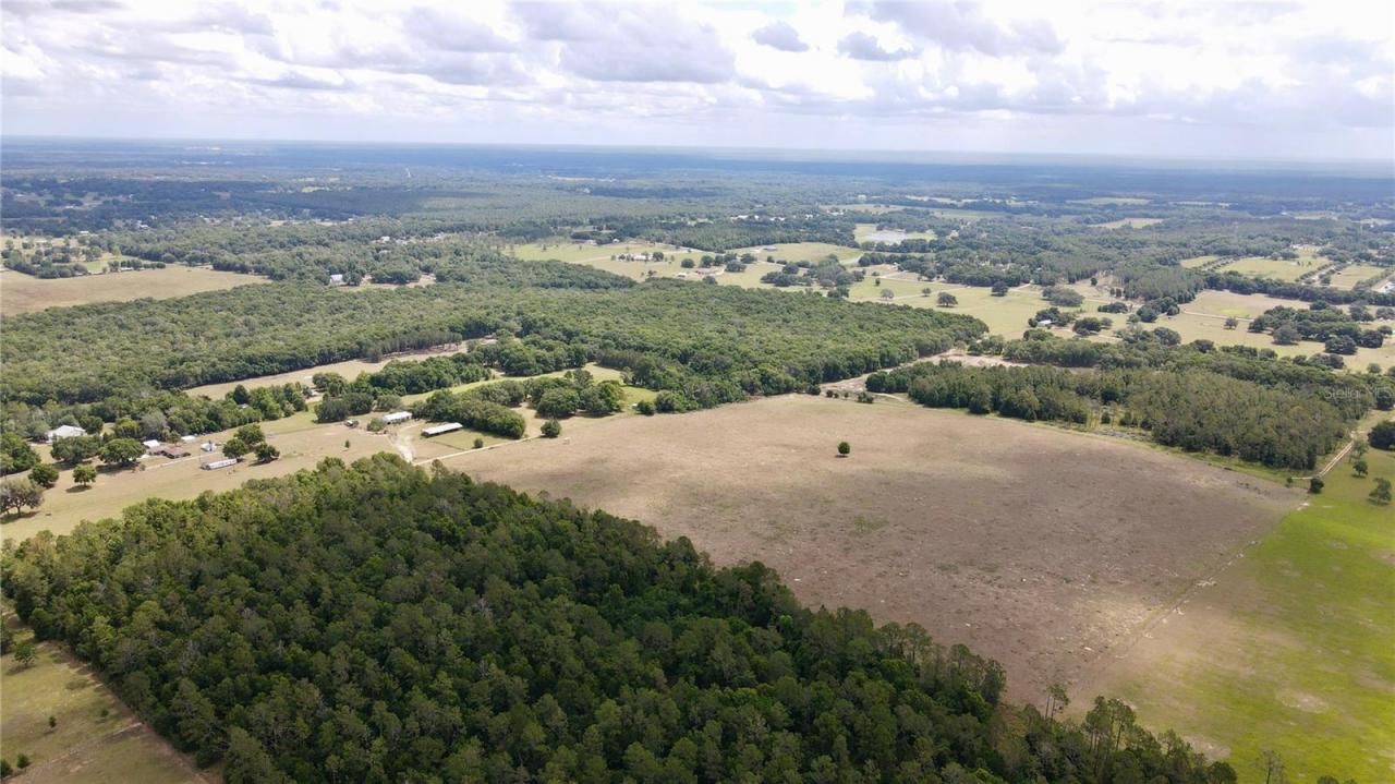 Parrish Grove Road, Dade City, FL 33523 Photo