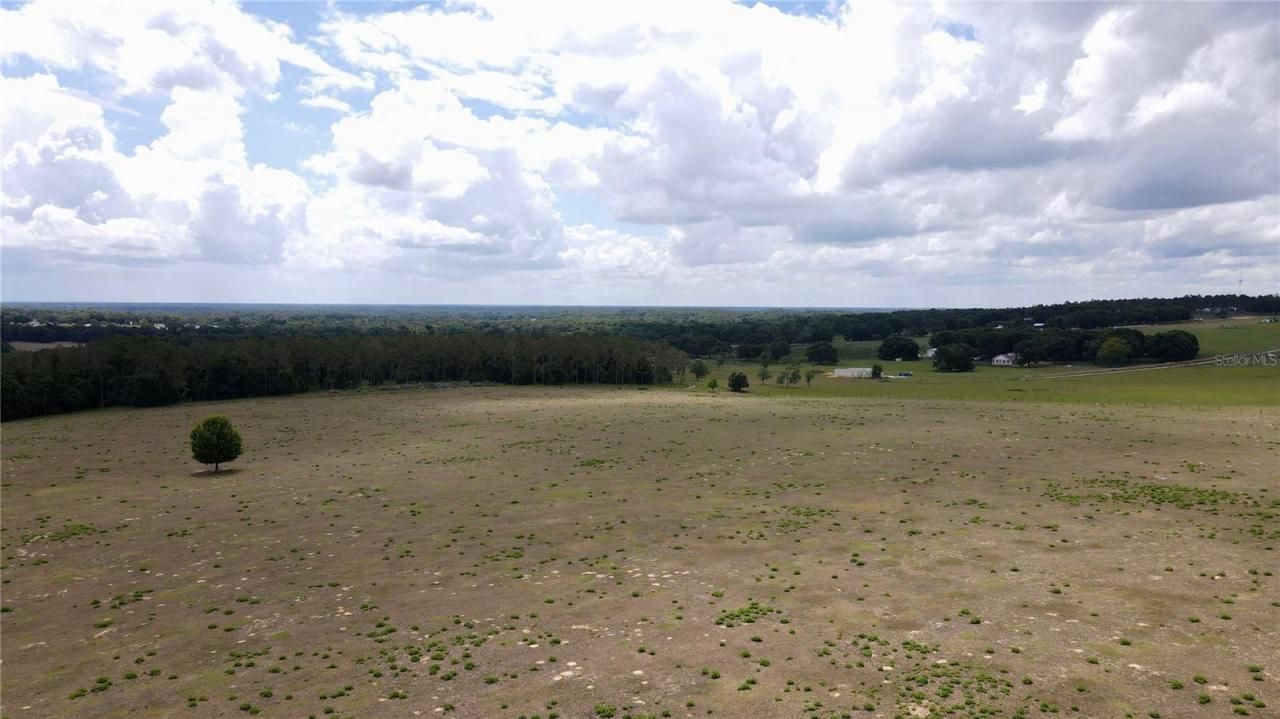 Parrish Grove Road, Dade City, FL 33523 Photo