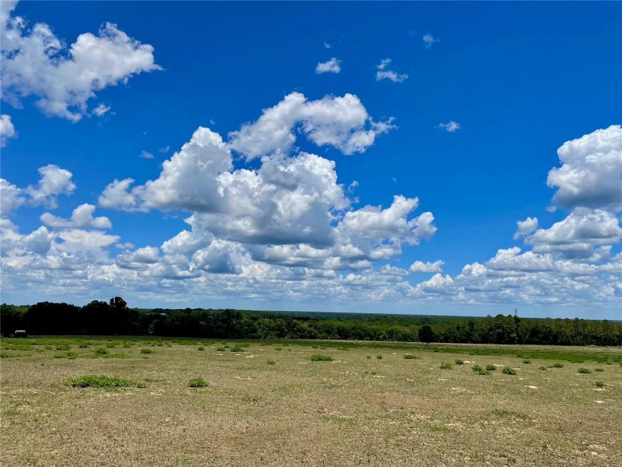 Parrish Grove Road, Dade City, FL 33523 Photo