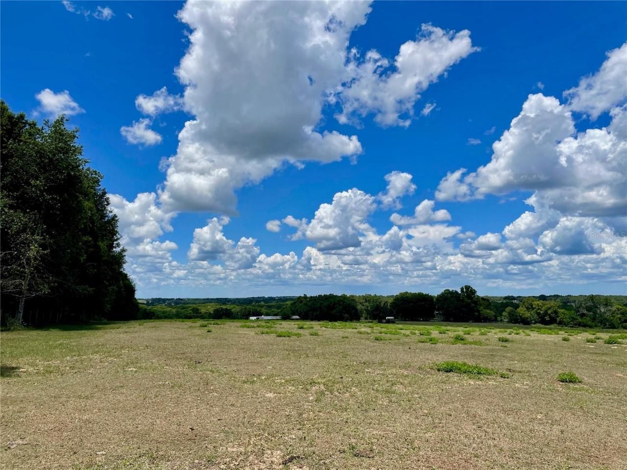 Parrish Grove Road, Dade City, FL 33523 Photo