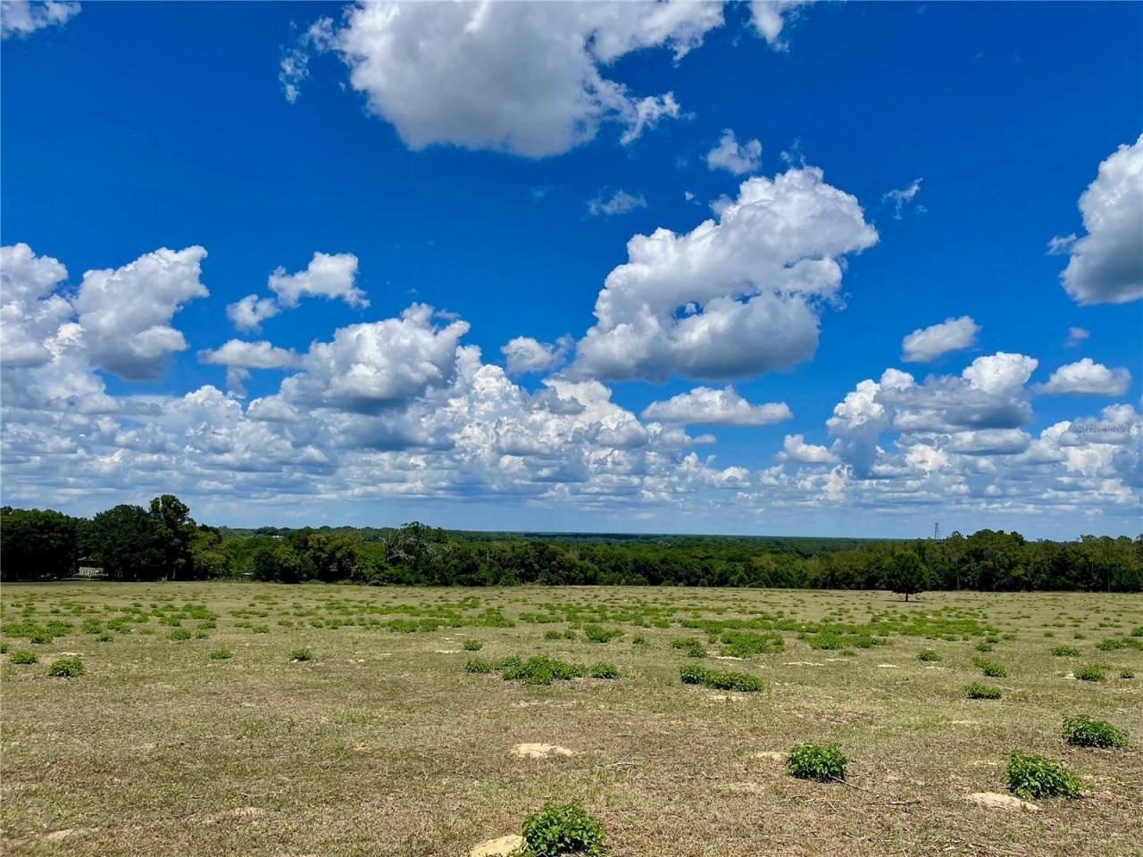 Parrish Grove Road, Dade City, FL 33523 Photo