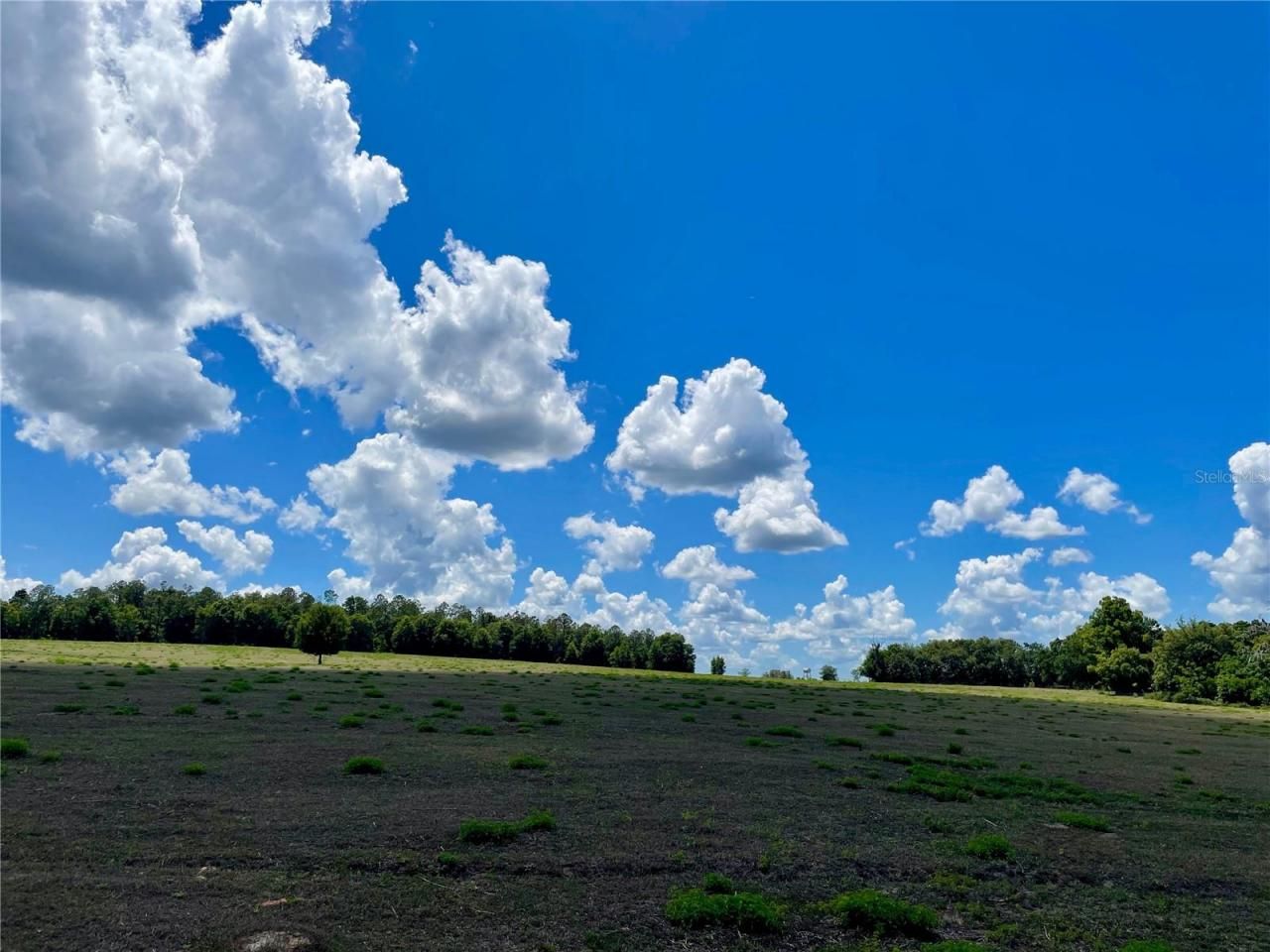 Parrish Grove Road, Dade City, FL 33523 Photo