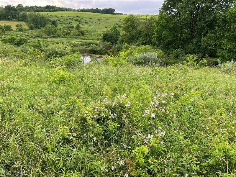 11200 Watson Road, Kensington, OH 44427 Photo 10