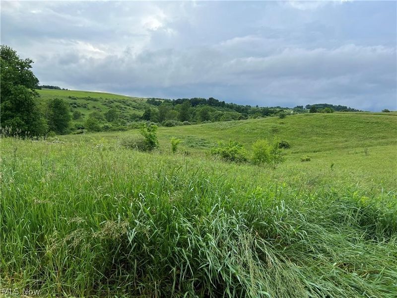 11200 Watson Road, Kensington, OH 44427 Photo 11