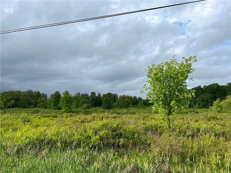 11200 Watson Road, Kensington, OH 44427 Photo 2