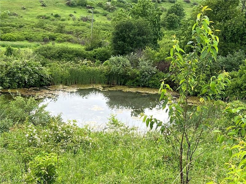 11200 Watson Road, Kensington, OH 44427 Photo 8