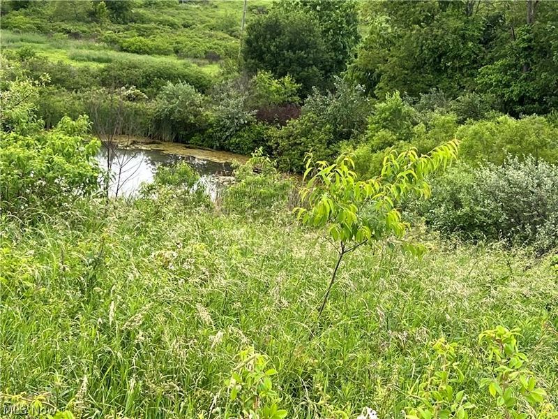 11200 Watson Road, Kensington, OH 44427 Photo 9