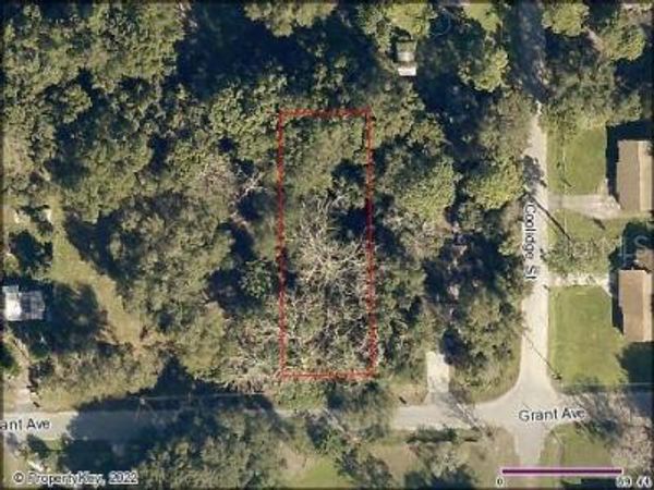 GRANT AVENUE, EUSTIS, FL 32726