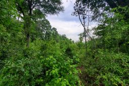 0 Second Texas Road photo 4