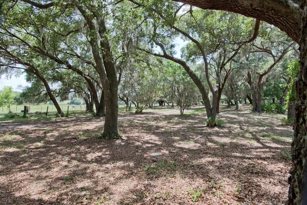 14704 Old Highway 50, Clermont, FL 34711 Photo